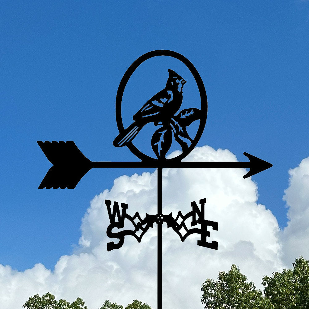 Cardinal Stainless Steel Weathervane